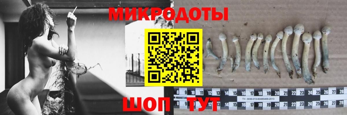 Псилоцибиновые грибы мухоморы  Вход с VPN  Вятские Поляны 
